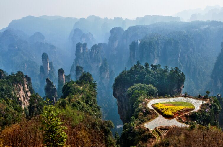 空中花园美景