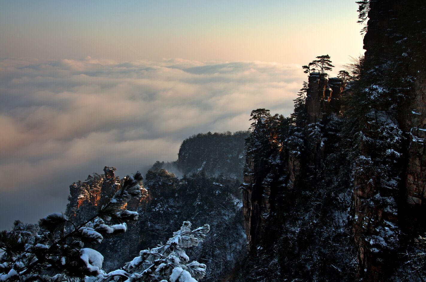 天子山晨韵