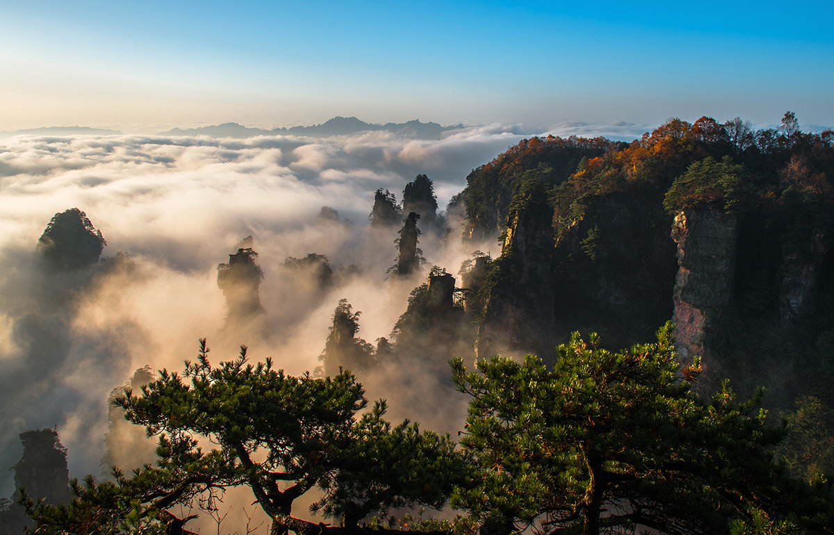 【携程攻略】张家界百龙天梯景点,到了武陵源标志门，就有很多旅行团直接让坐去百龙天梯的环保车，直接…