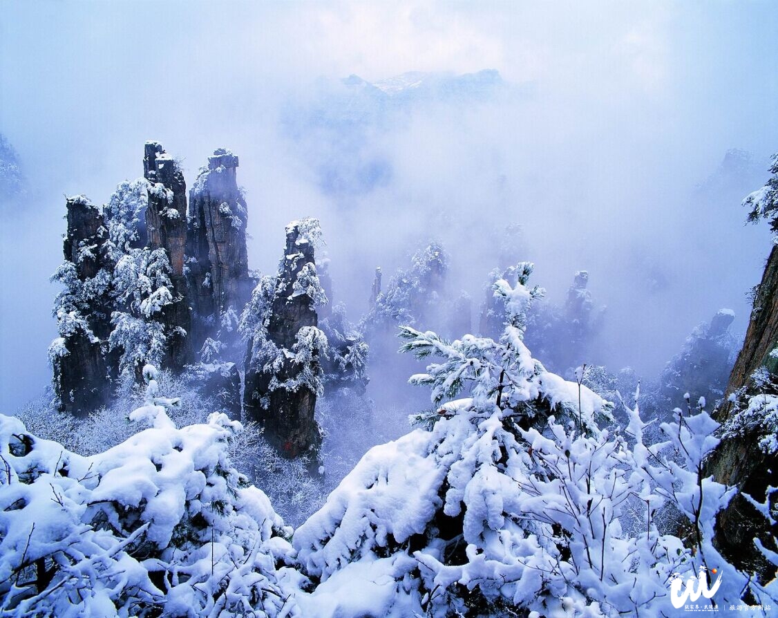 大雪寒冷冬季街道雪景摄影图高清摄影大图-千库网